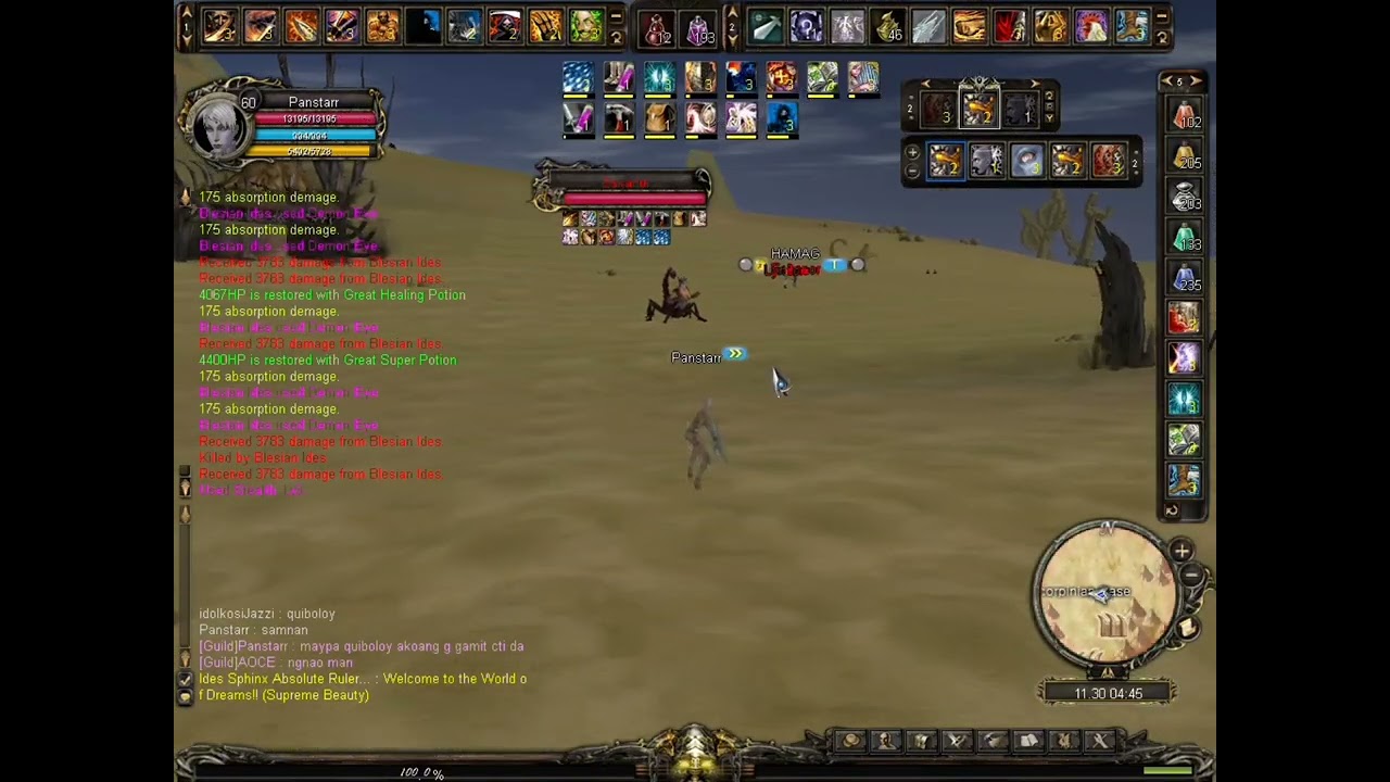 Panstarr I am Assassin @ Shaiya classic Montage