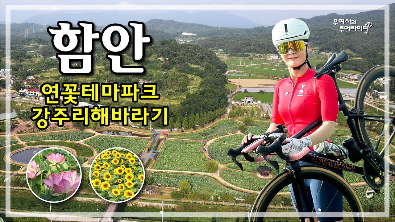 함안 투어 ( 연꽃테마파크-강주리-악양뚝방-박진교-남지철교-무진정) '24.06.29.