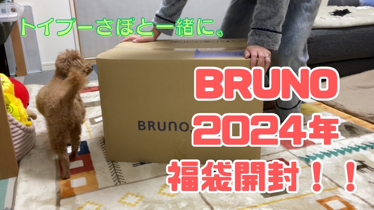 BRUNO2024年福袋開封！！トイプーさぼと一緒に☆ワクワクが止まらない。