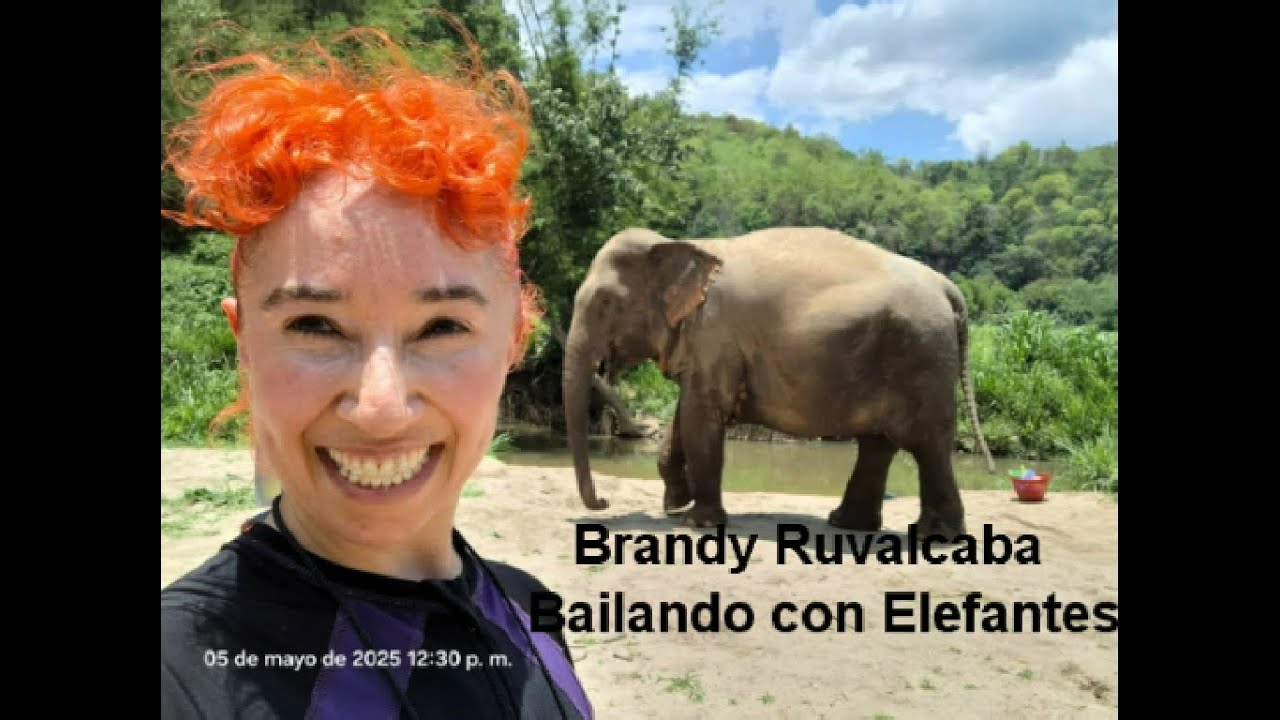 Brandy Ruvalcaba Bailando con Elefantes Tailandia 2025 Dance with Elephants El mundo es mi Escenario