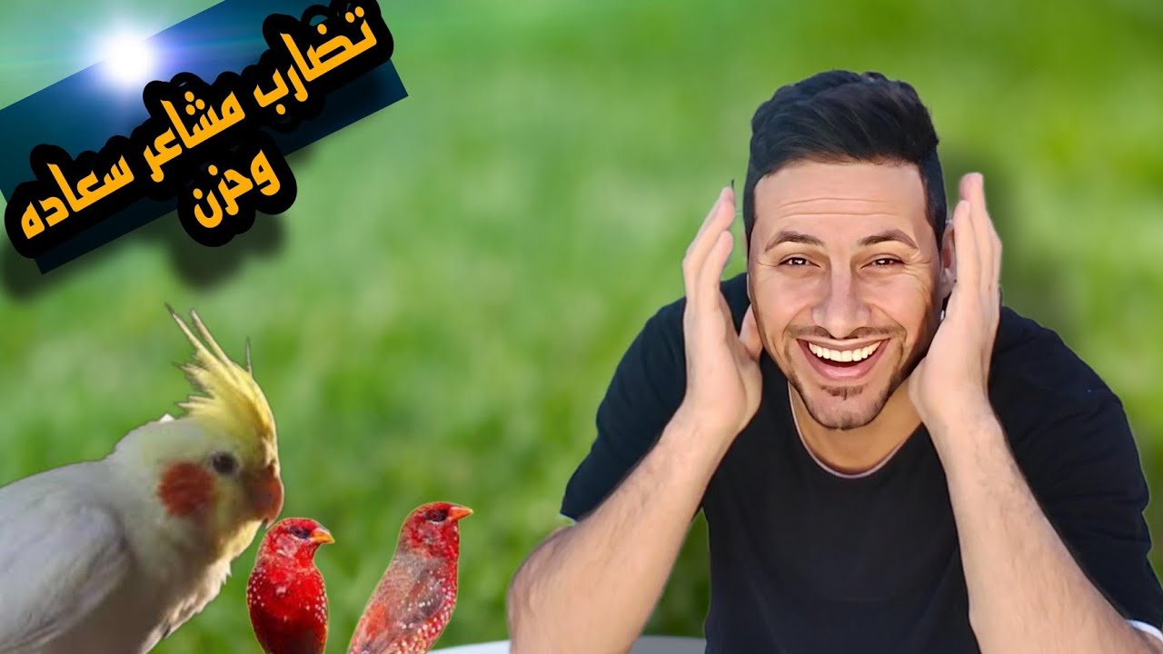 الفاش الرئوي عند الطيور اعراضه والعلاج+ صورت الكم الانتاج الجديد ❤️🪺