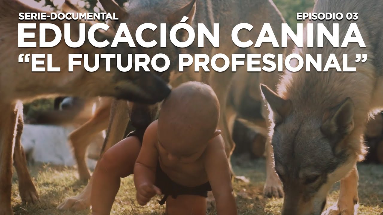 EDUCACIÓN CANINA E03 - EL FUTURO PROFESIONAL (Serie-Documental)