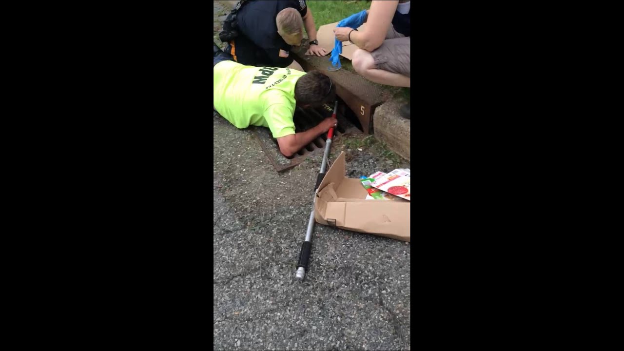 Baby Deer Rescued!