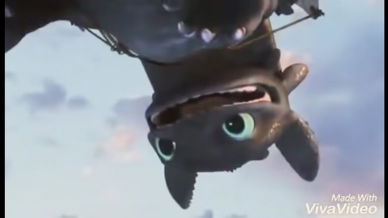HTTYD 