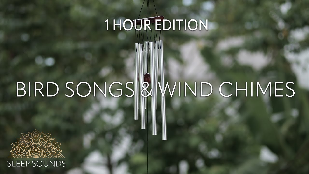 Bird Songs & Wind Chimes  &bull; 1hr &bull; Sleep &bull; Study &bull; Focus &bull; Meditation &bull; Relaxation