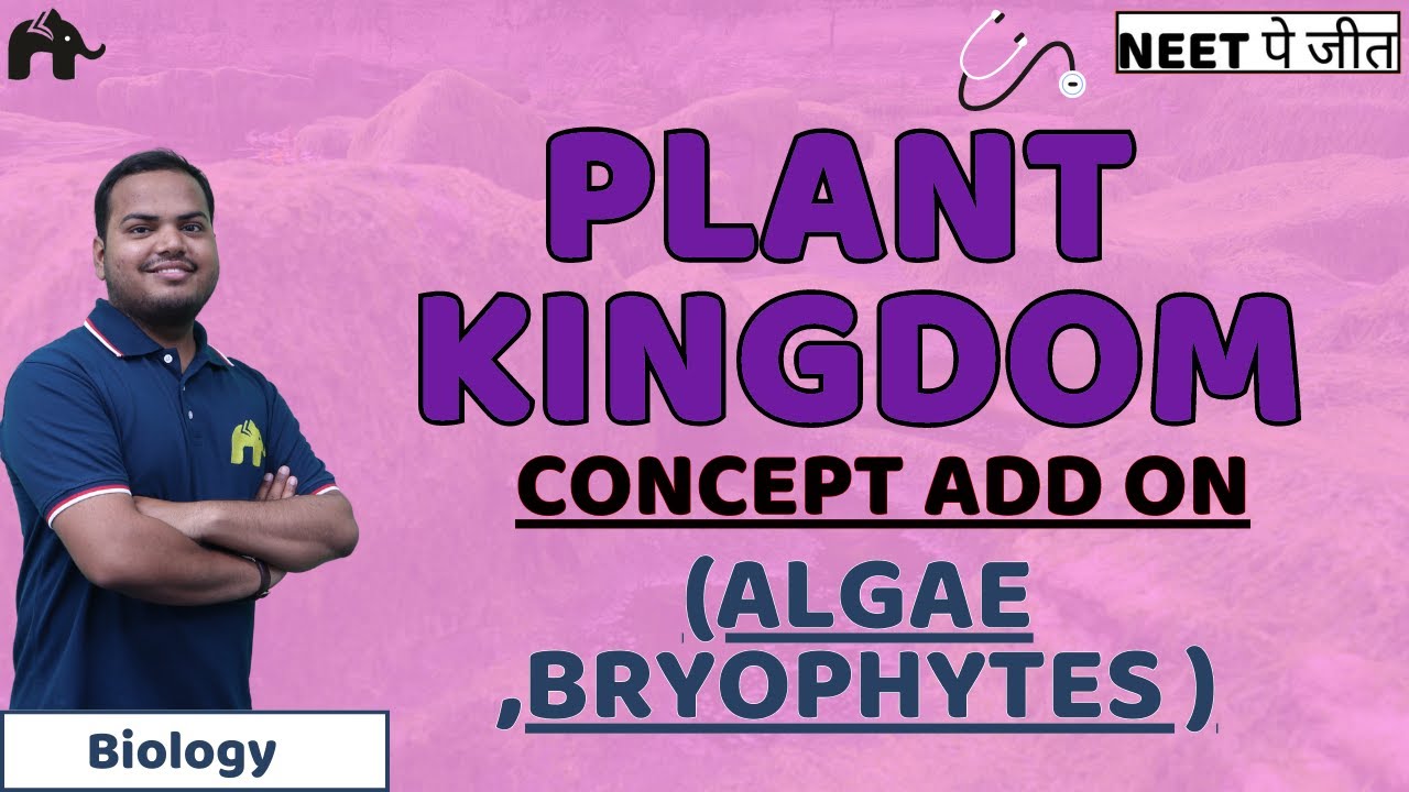 Plant Kingdom Class 11 NEET Concept Add on- (Algae ,Bryophytes ) | Biology