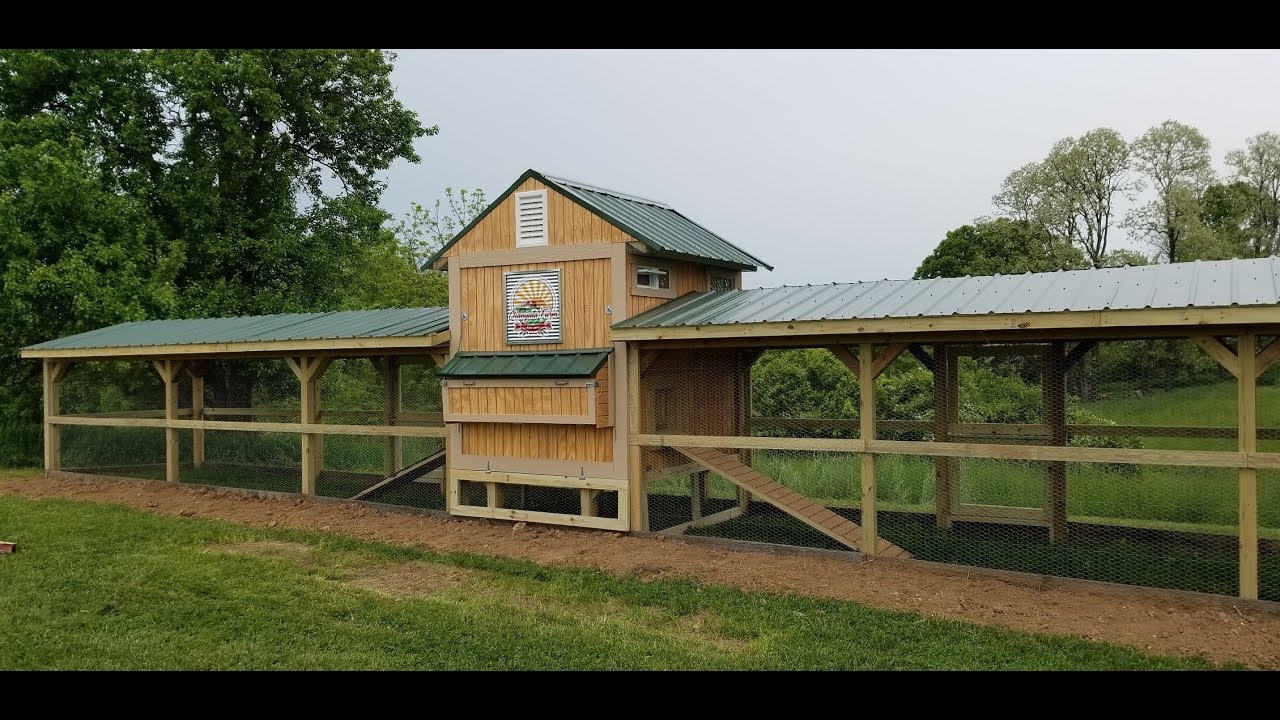 Chicken Coop Build Part 6- Predator Proofing