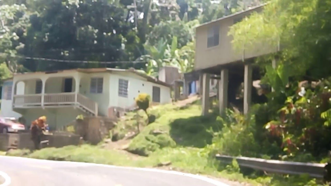 de la 123 hacia la muralla del lago Dos Bocas Utuado