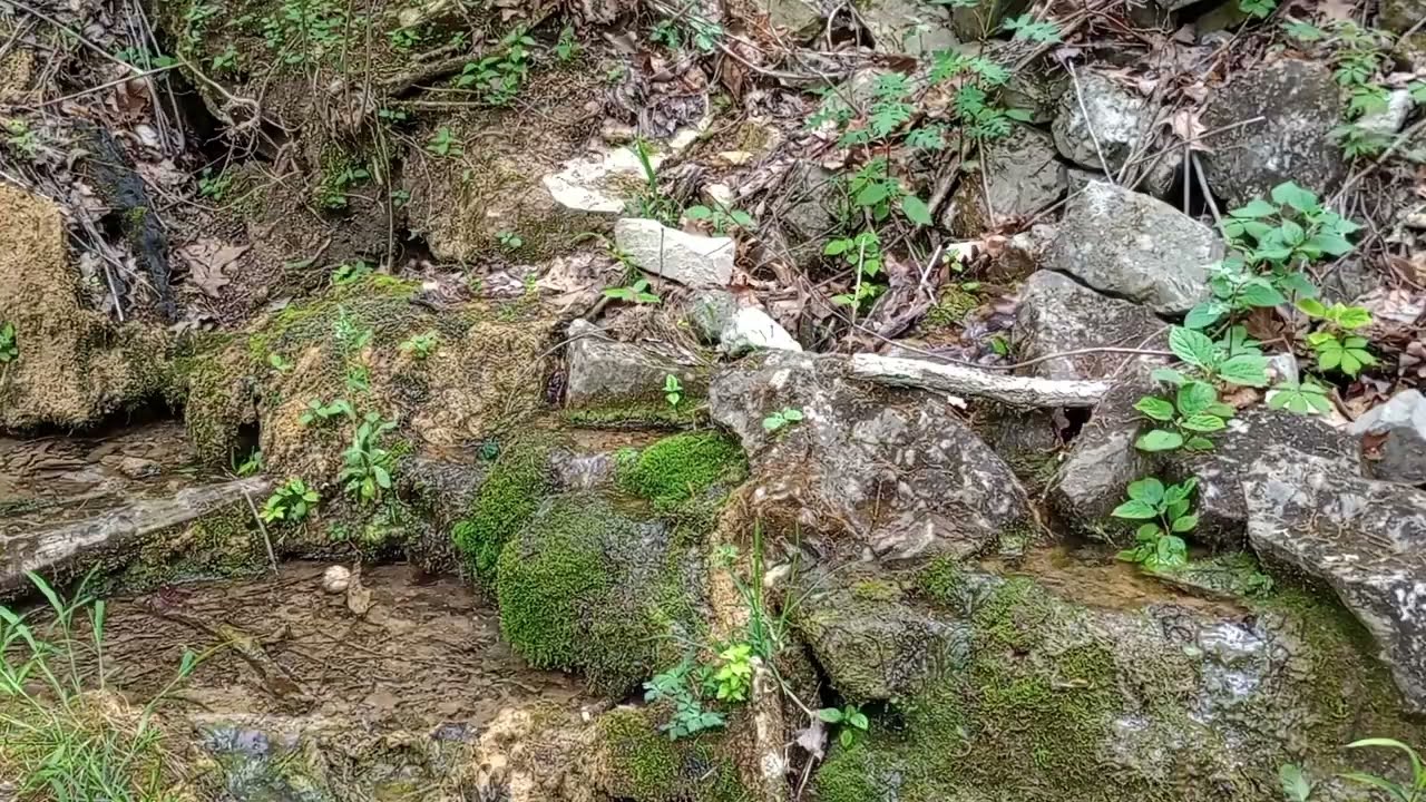 Trough Springs History And Geography