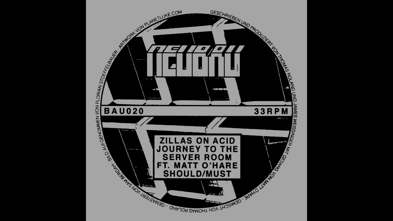 Zillas on Acid - Should/Must