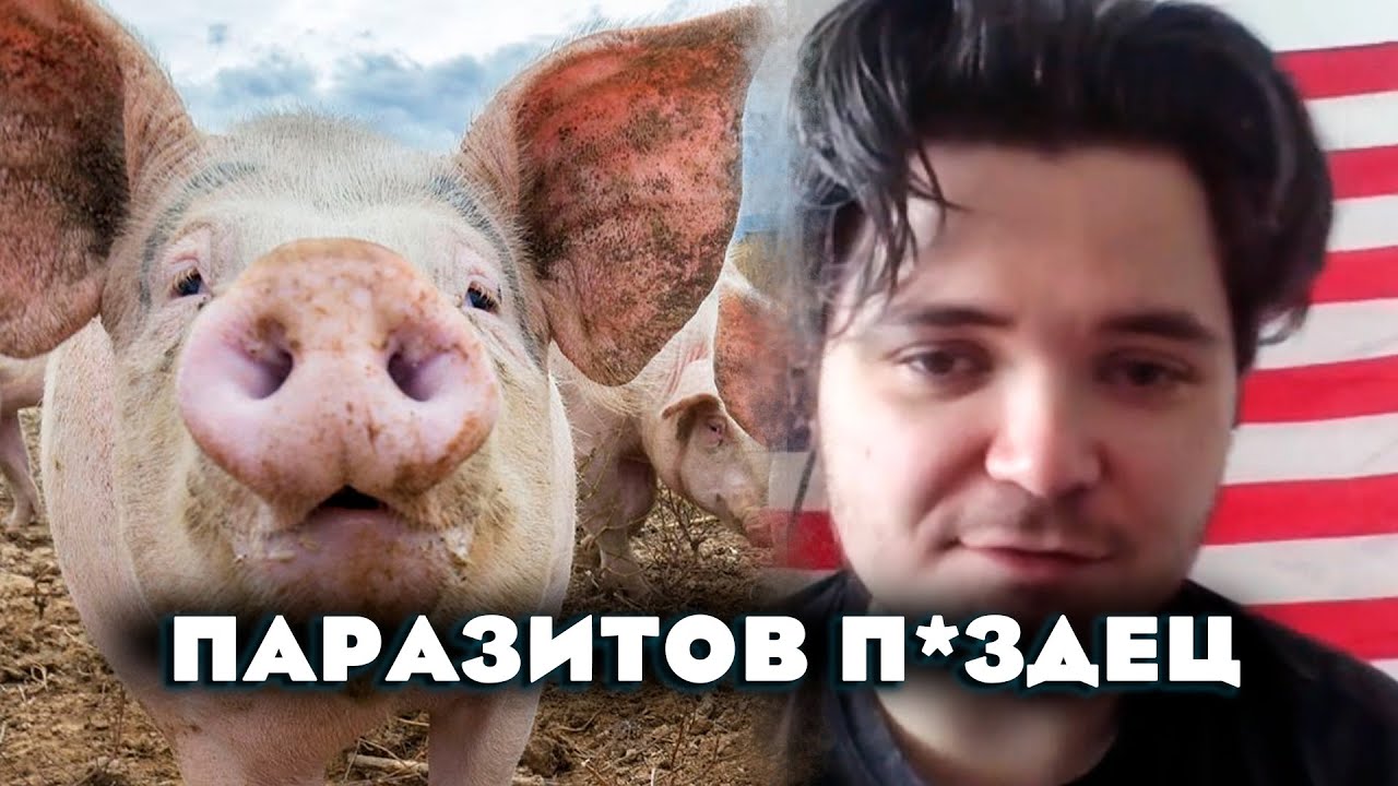 Маргинал ЖЕСТКО о свиньях