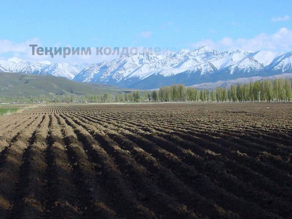 АТТ 2014 Кыргыз жери (The Land of Kyrgyz) -Аида Азизова