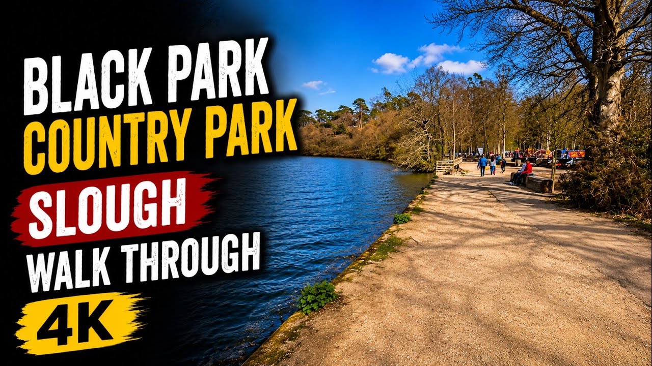 Black Park Country Park | Slough | Walk Through | 4K