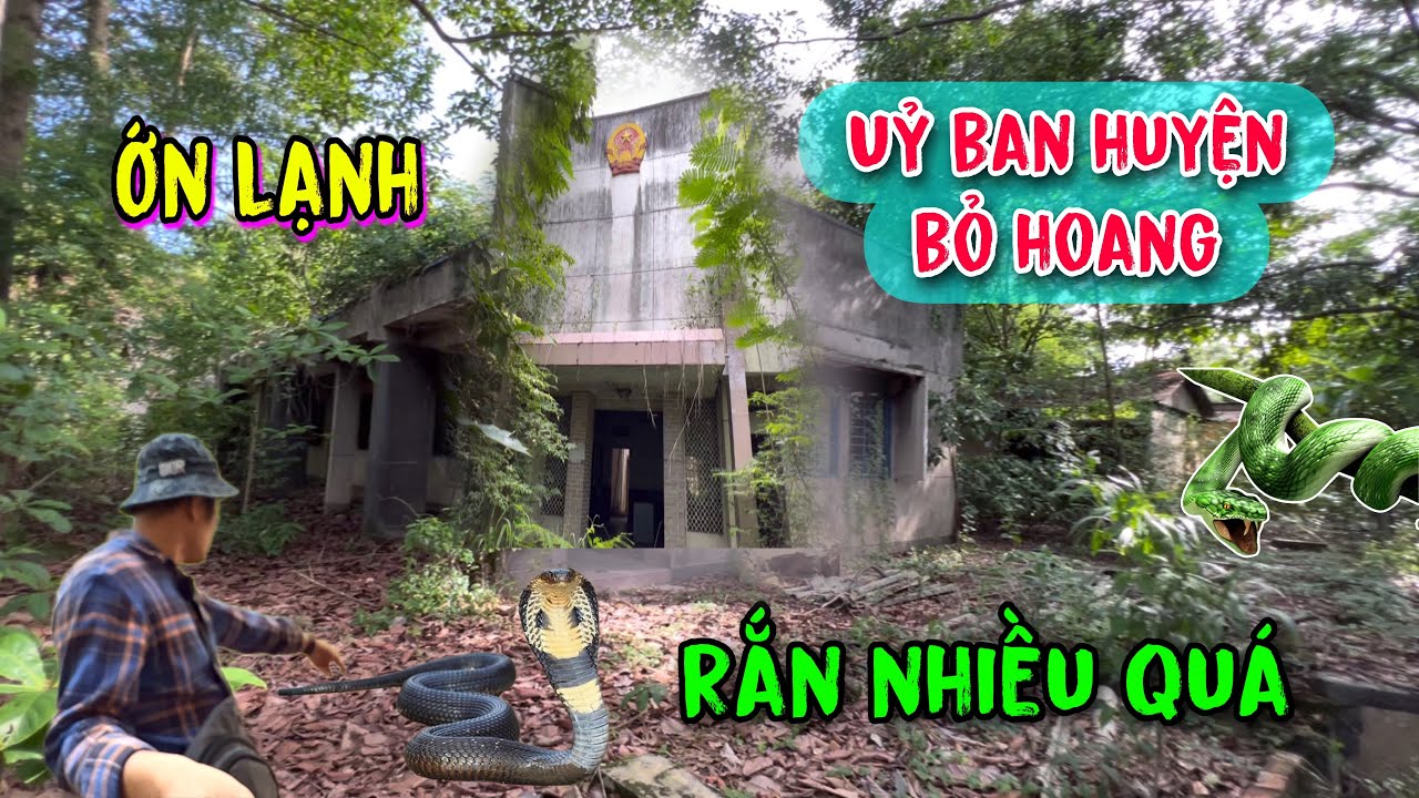 Nắng Tây Ninh / Bị tấn công trong khu nhà bỏ hoang