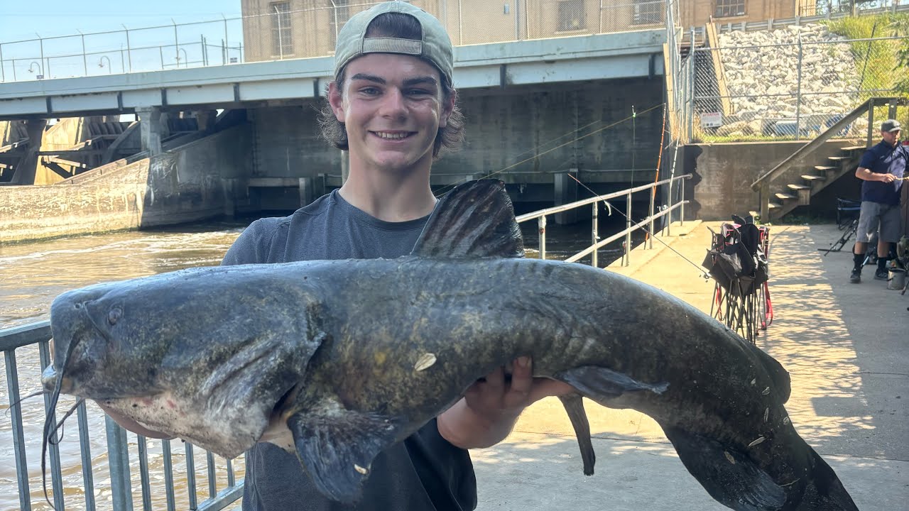 GIANT Fish Pulls My Rod into the Water!!! Flathead Catfishing MASSIVE Spillway! DAY 2