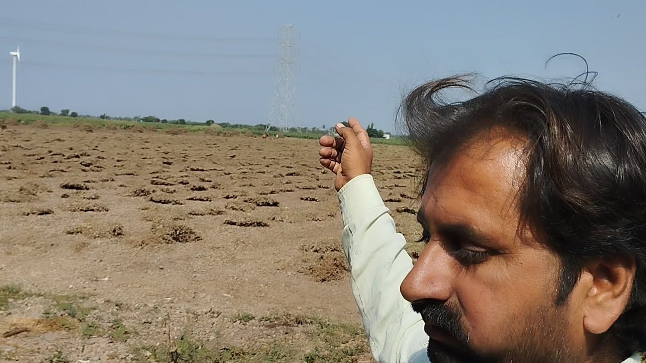 morning time buffelo milking and farming pe kuch kam आगया है#viral #viralvideo #farming #gujarati 22