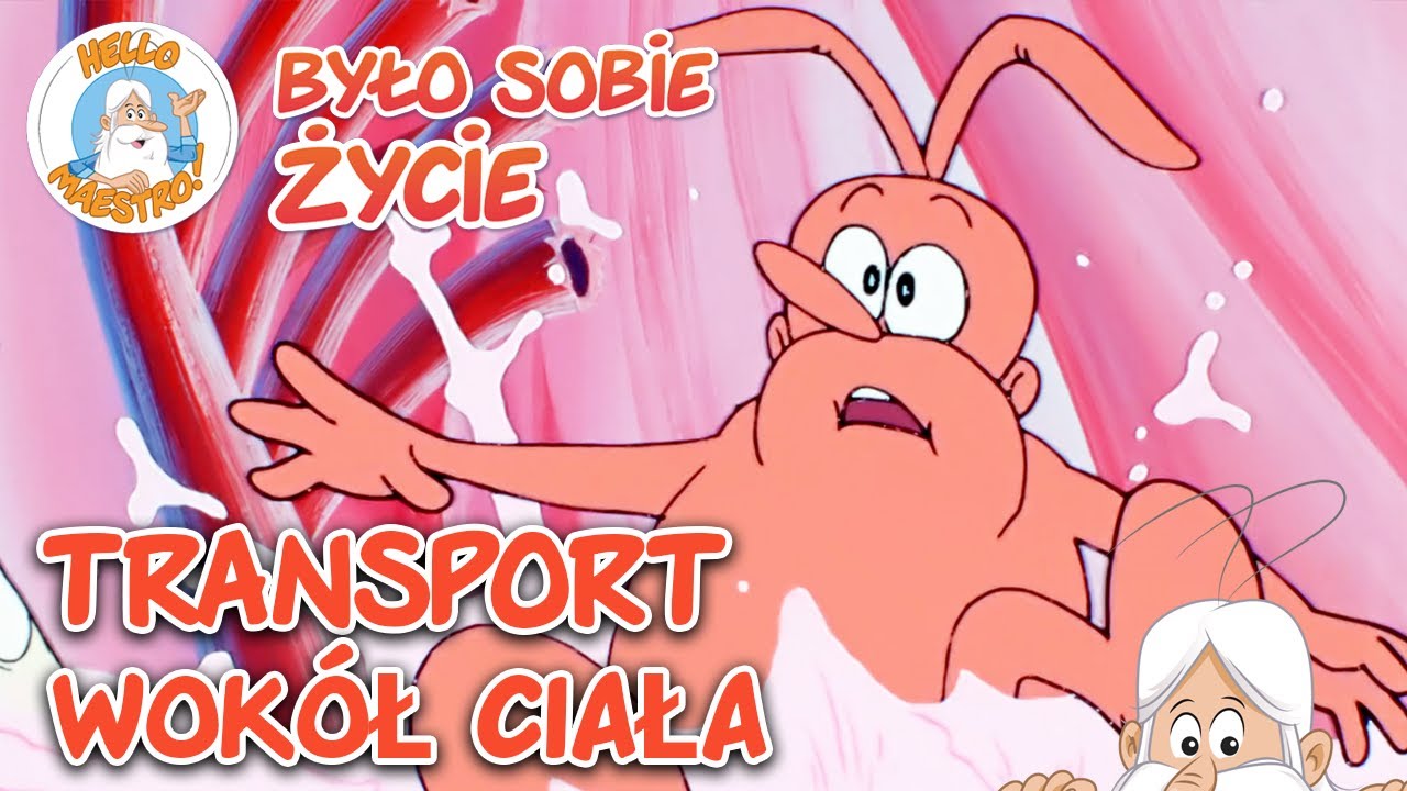 System transportowy | Pełne Odcinki | Było sobie... Życie