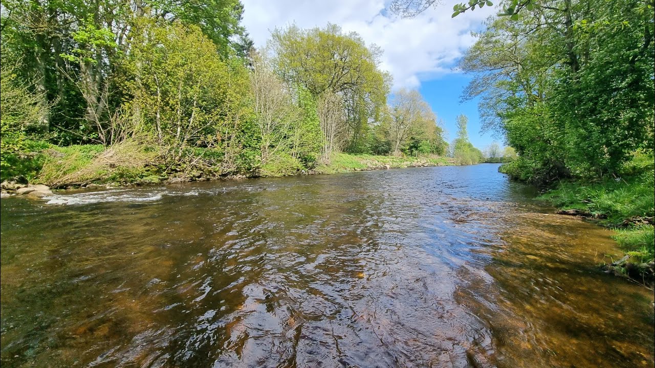 A tour down House Pool. Finavon Castle Water, River South Esk.