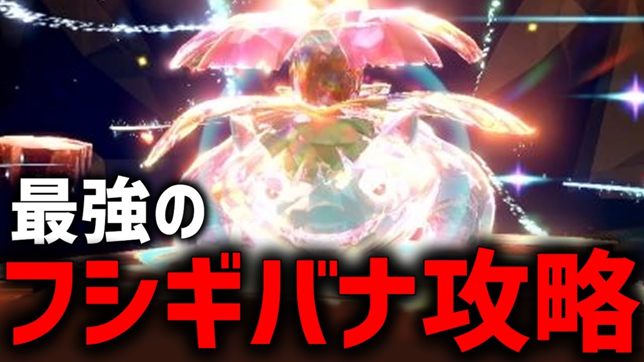 【参加型】最強のフシギバナ最適解探すぞ！！【ポケモンSV】