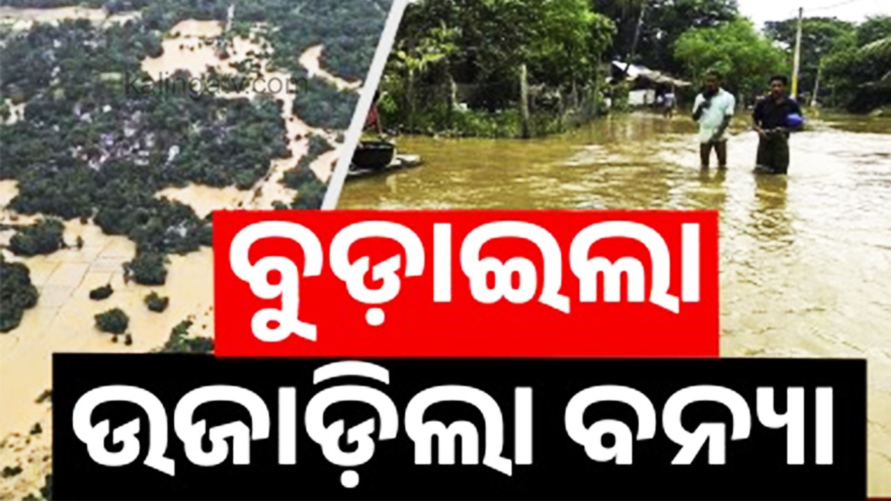 Bhadrak's Bodak Panchayat Among Worst-Hit Areas as Baitarani and Salandi Rivers Overflow