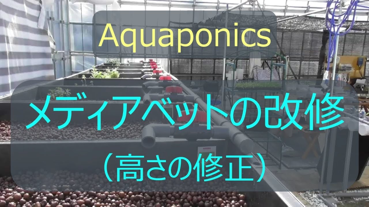 #8 メディアベットの改修作業