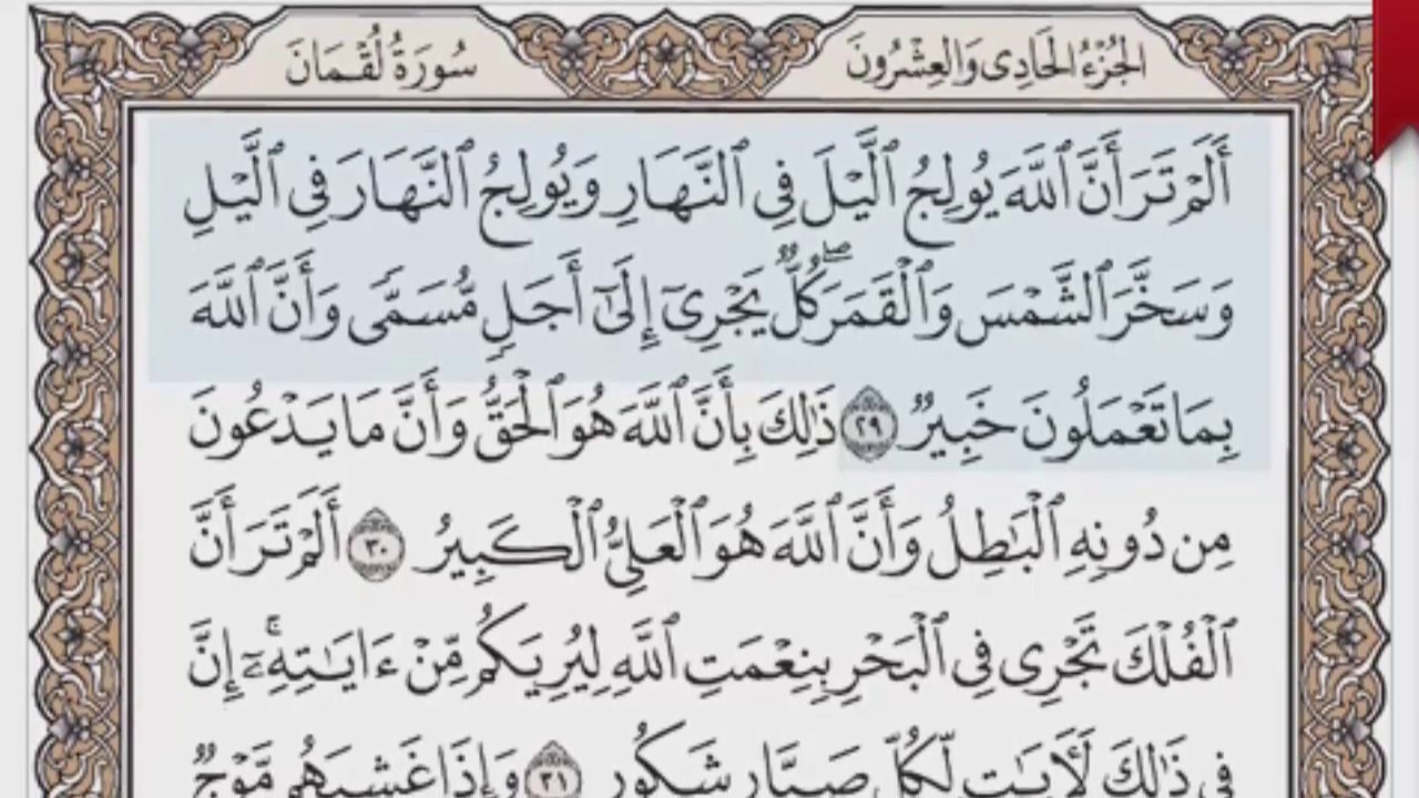 القرآن الكريم بالصفحات صوت وصورة ص/ 414 الشيخ محمود خليل الحصري بمد المنفصل