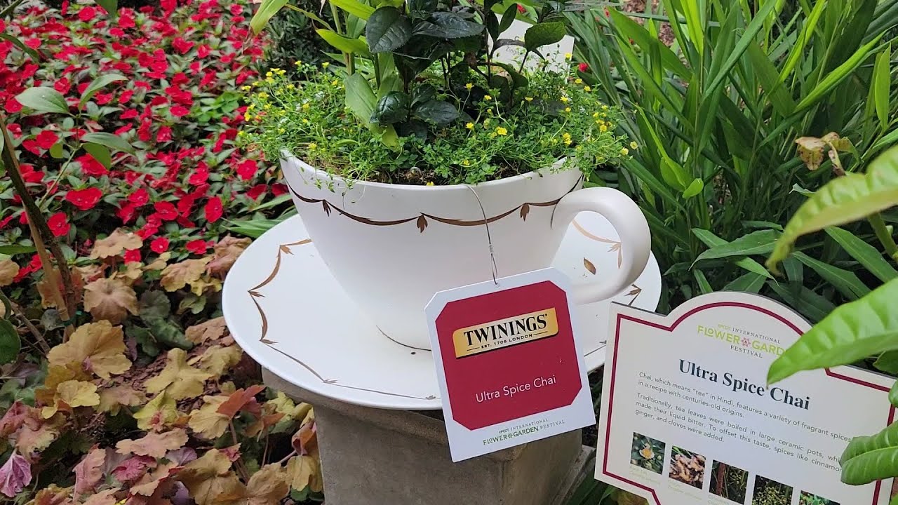 Is this your Cup of Tea? 2024 Flower & Garden Festival Epcot Disney World. FREE tour