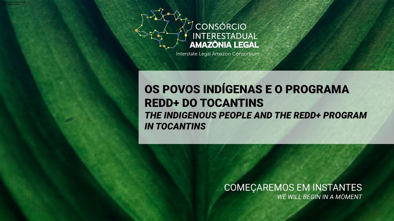 OS POVOS INDÍGENAS E O PROGRAMA REDD+ DO TOCANTINS