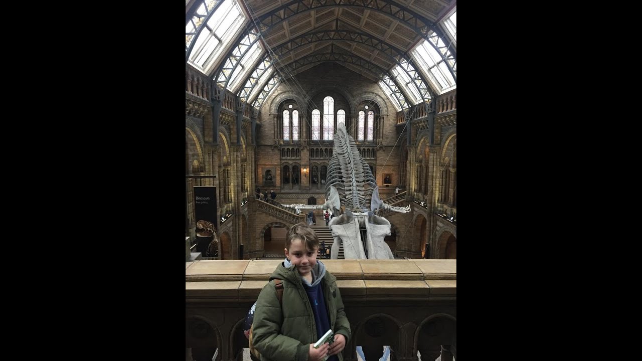 london dino