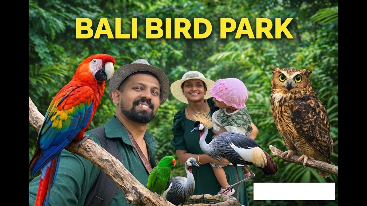 Bali Bird Park Tour | Amazing Birds, Owl, Bird Show & Lotus Pool | Bali Travel Vlog