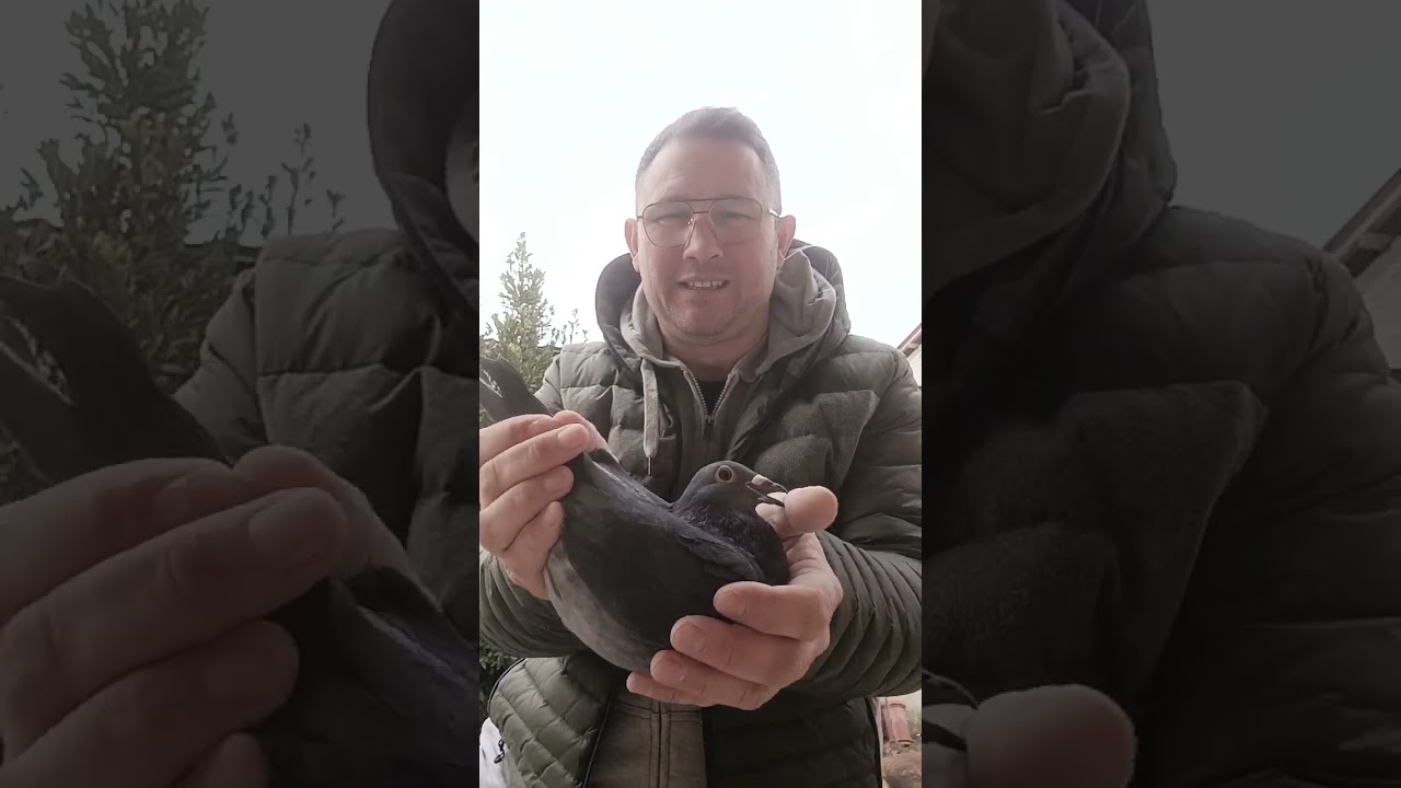 Ucigașii Negri !!!