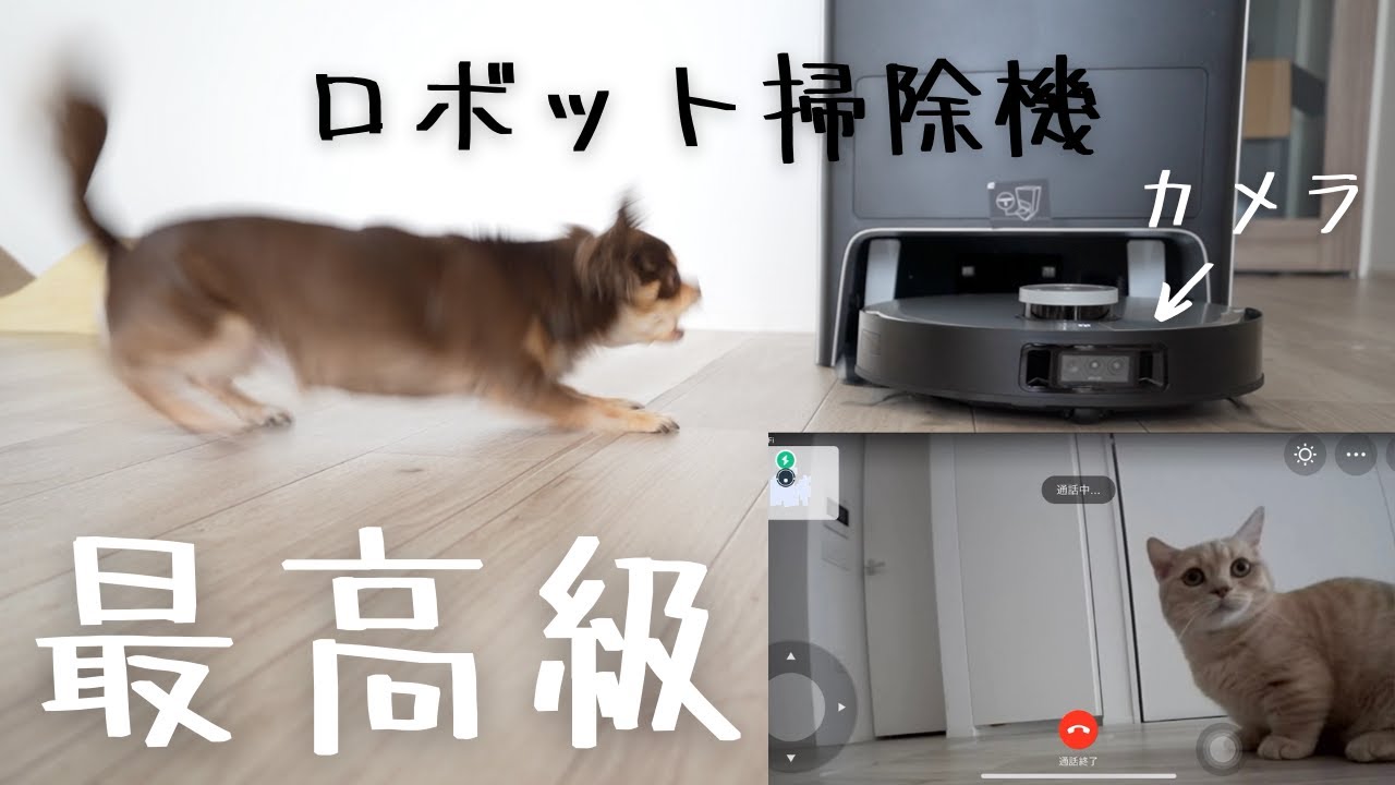 史上最高級の全自動ロボット掃除機で犬猫二人がとんでもないことになった...