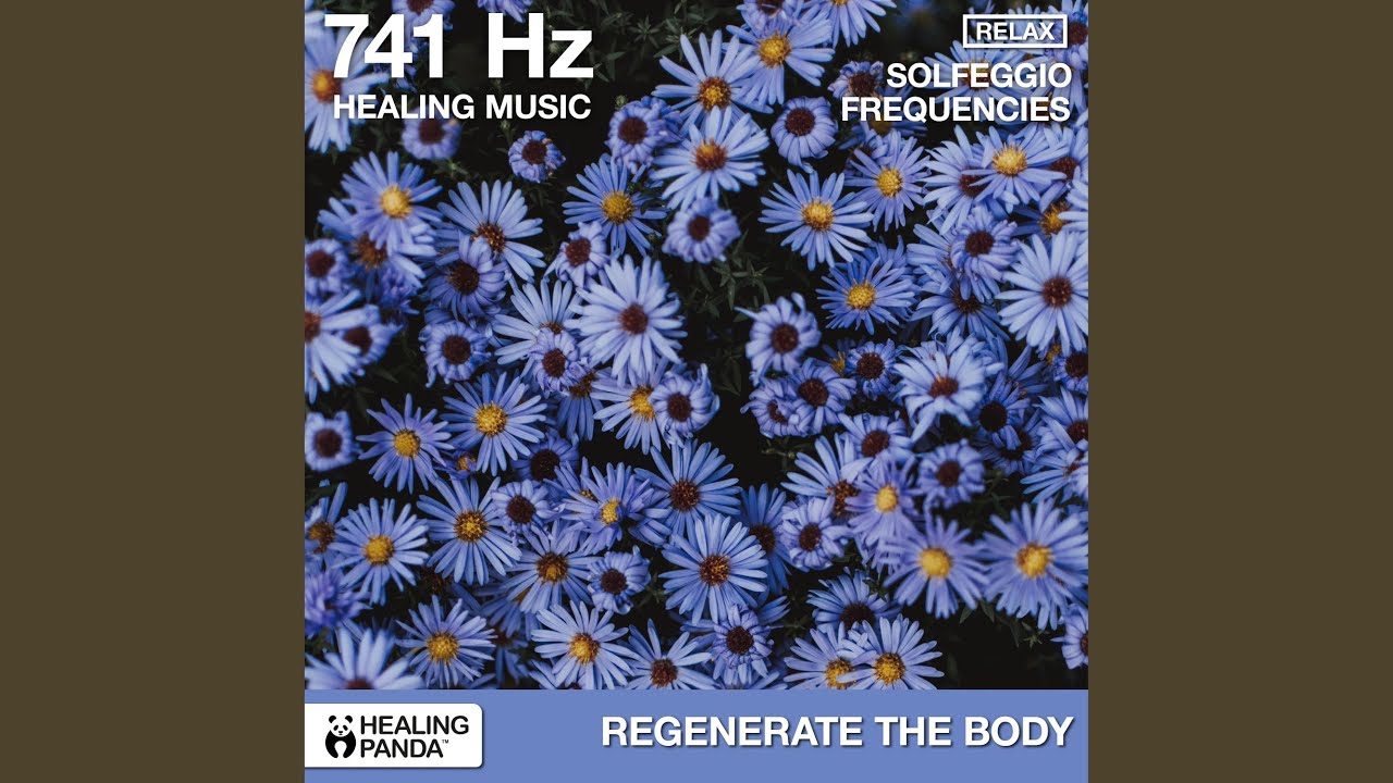 741 Hz Stability And Clarity
