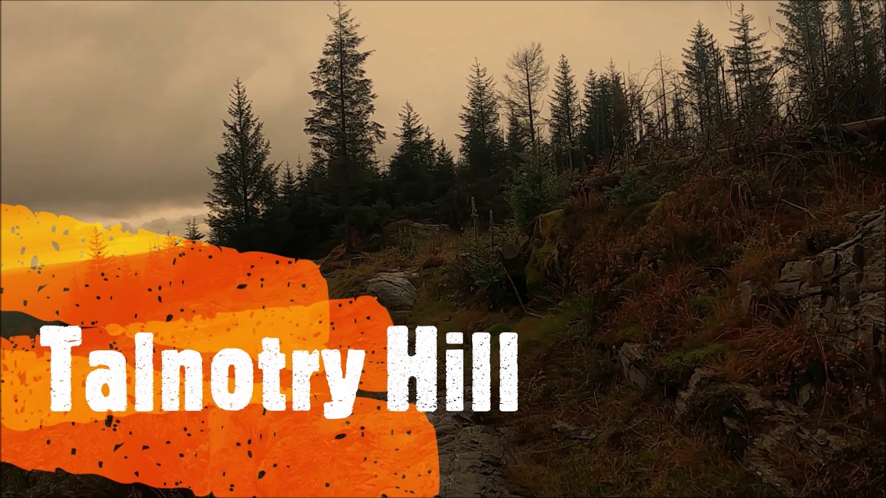 Kirroughtree Black trail -  Heartbreak Hill to Talnotry Hill
