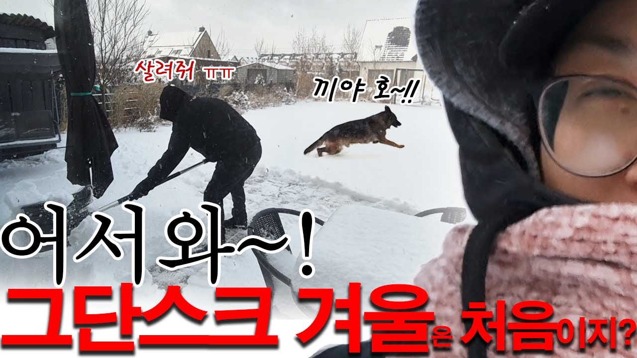 🇵🇱 폴란드 일상 | 혹독한 폴란드의 겨울☃️ | 아무도 원하지(궁금하지) 않는 얼공 😁