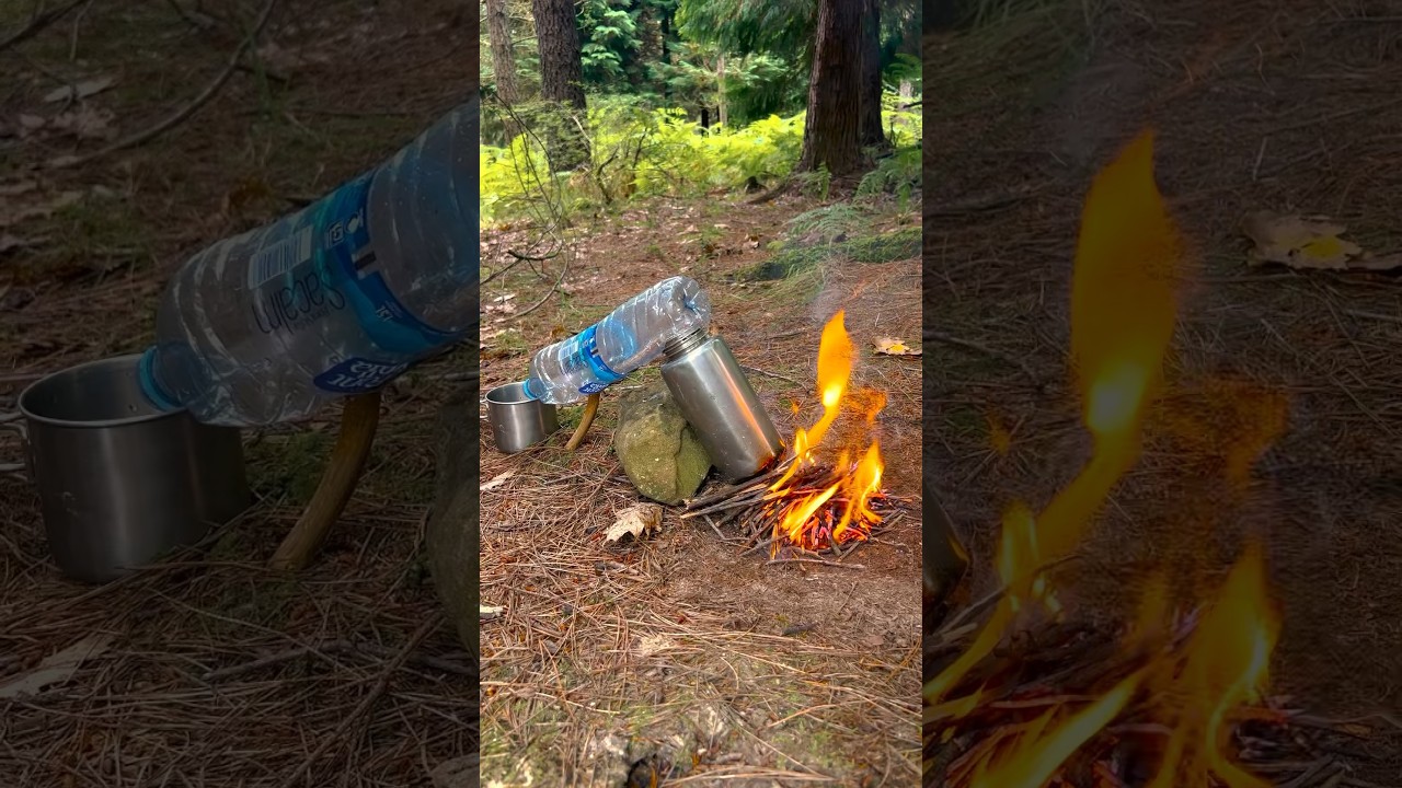 Survival Skills: DIY Water Distiller For Emergencies #survival #camping #lifehacks