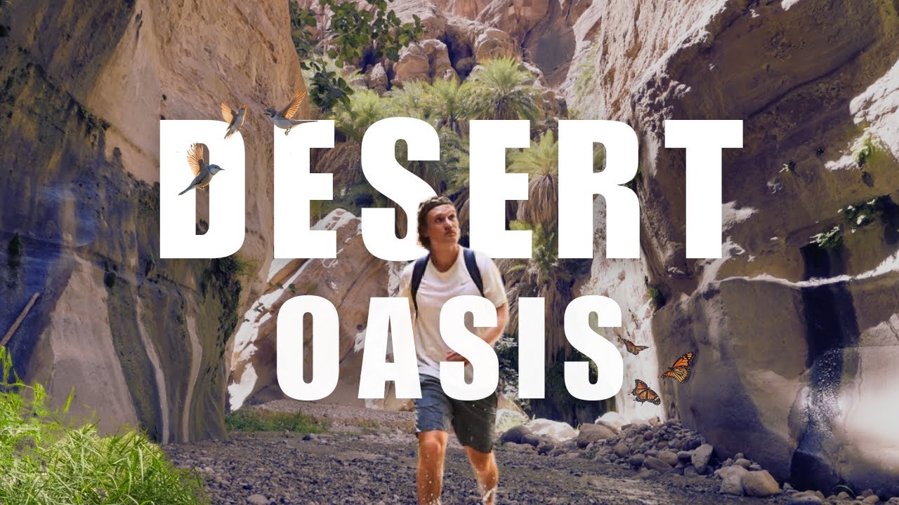 Jordan's Hidden Desert Oasis