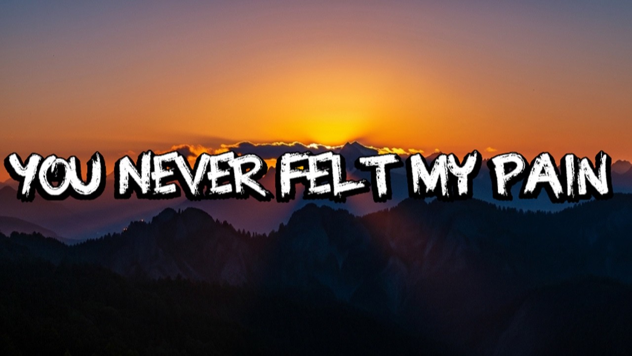 You Never Felt My Pain - Tony Sun (lyric) |sad song