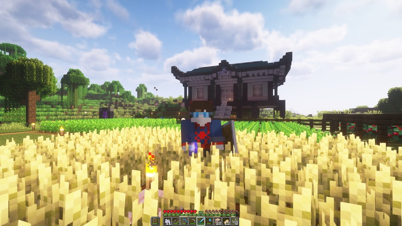 Minecraft Survival