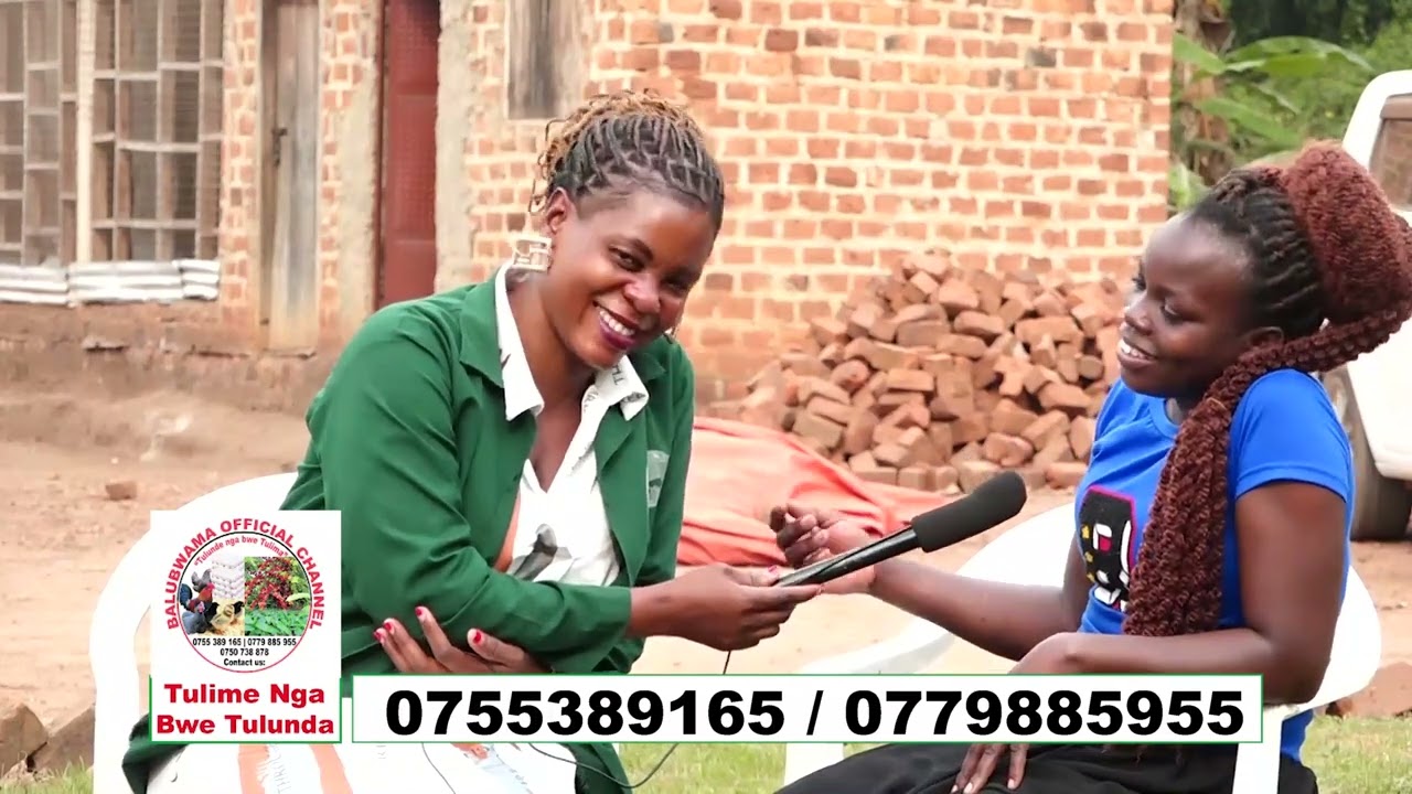 Entandikwa Teba nyangu.Naye Obulamu Bukyuuka