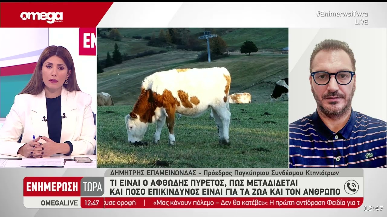 Αφθώδης πυρετός: Τι είναι η νόσος που έφερε πανικό στην Κύπρο