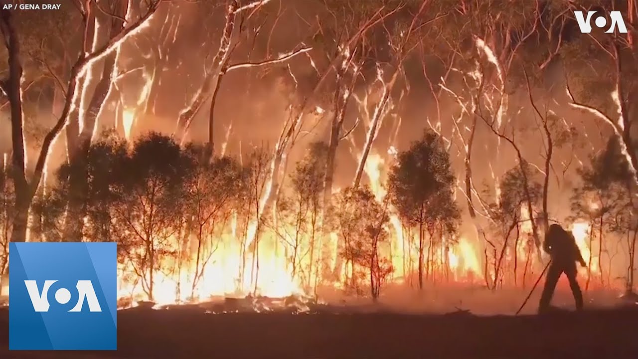 Firefighters Battle Blazes Near Sydney, Australia