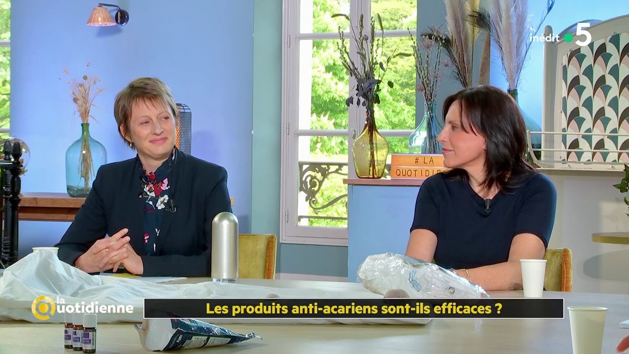 Les produits anti acariens sont ils efficaces ? - La Quotidienne
