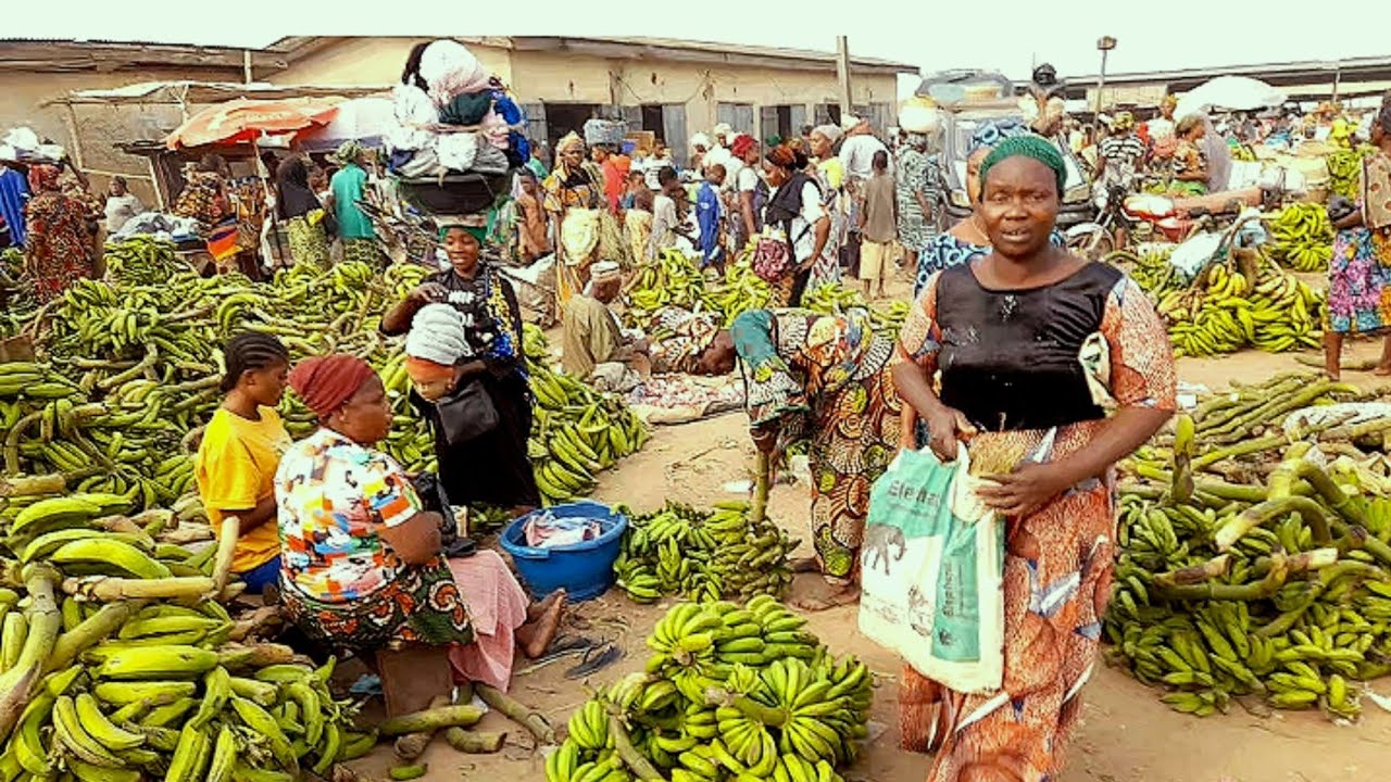Plantain Farm Market || Price Of farm Produce At Farm Market.. Raw market vlog