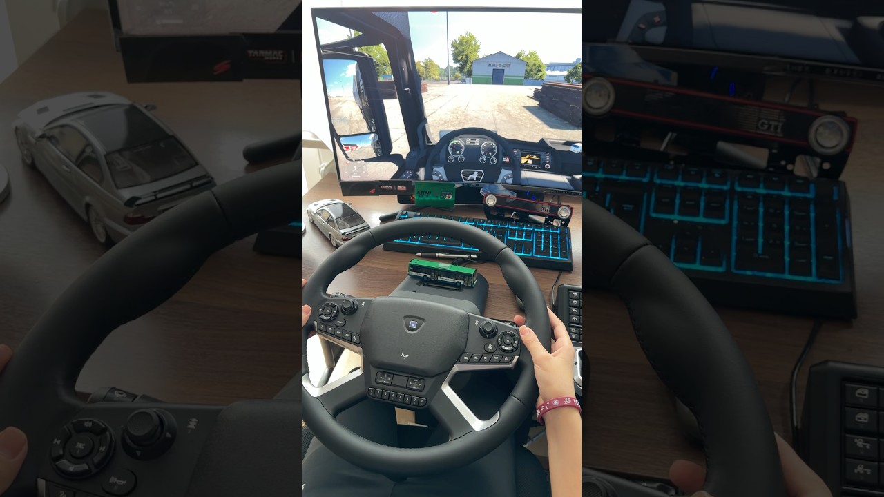 Euro Truck Simulator Realistic Driving with HORI Force Feedback Wheel  #eurotruck #ets2