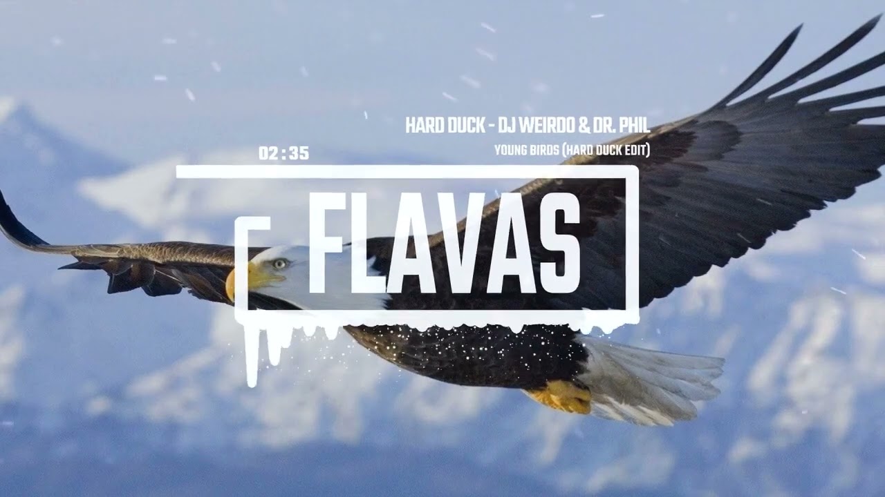 DJ Weirdo & Dr. Phil Omanski - Young Birds (Hard Duck Edit)