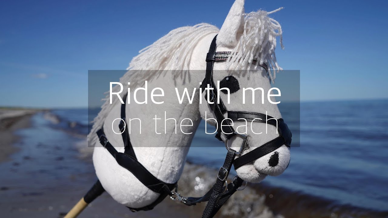 Ride with me - on the beach ft. Stald Hegnet // Primrose Stable
