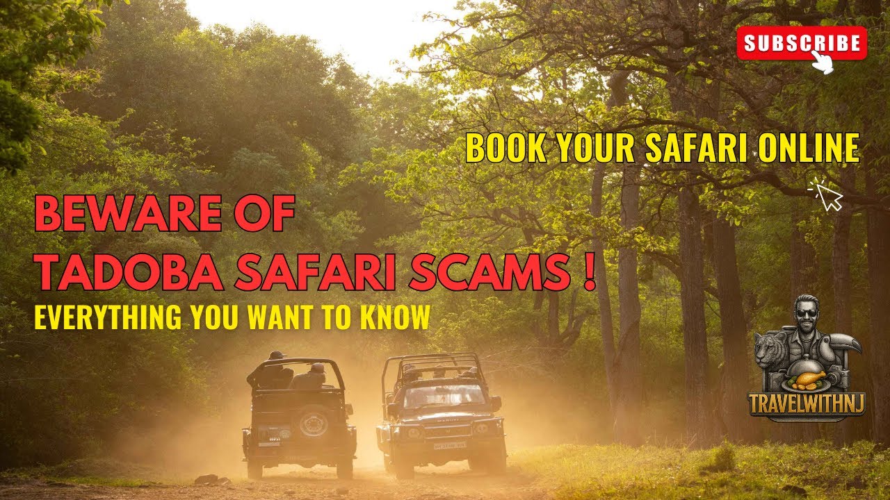 How To Book A Safari in Tadoba | Easy way to do it yourself. 