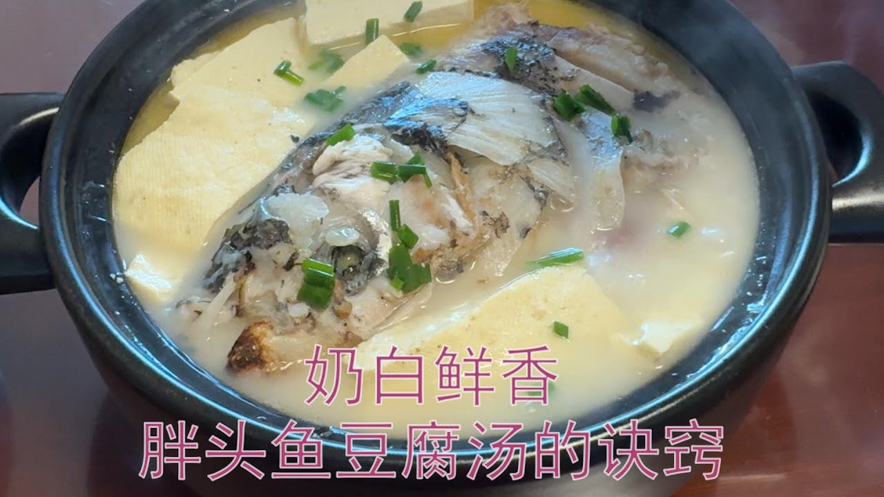 奶白鲜香的胖头鱼豆腐汤的诀窍  #鱼头豆腐汤 #胖头鱼 #豆腐 #fish #tofu #soup
