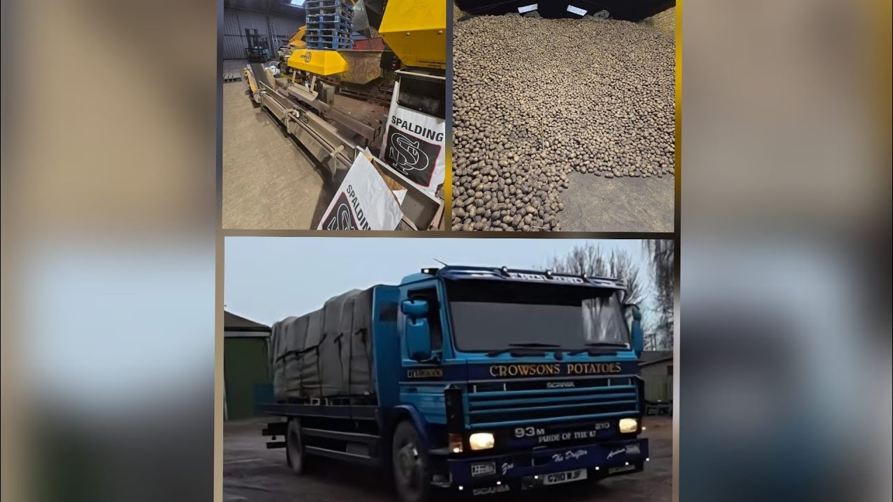 Один день из жизни фермера в Великобритании: упаковка картофеля в мешки 🇬🇧🚜